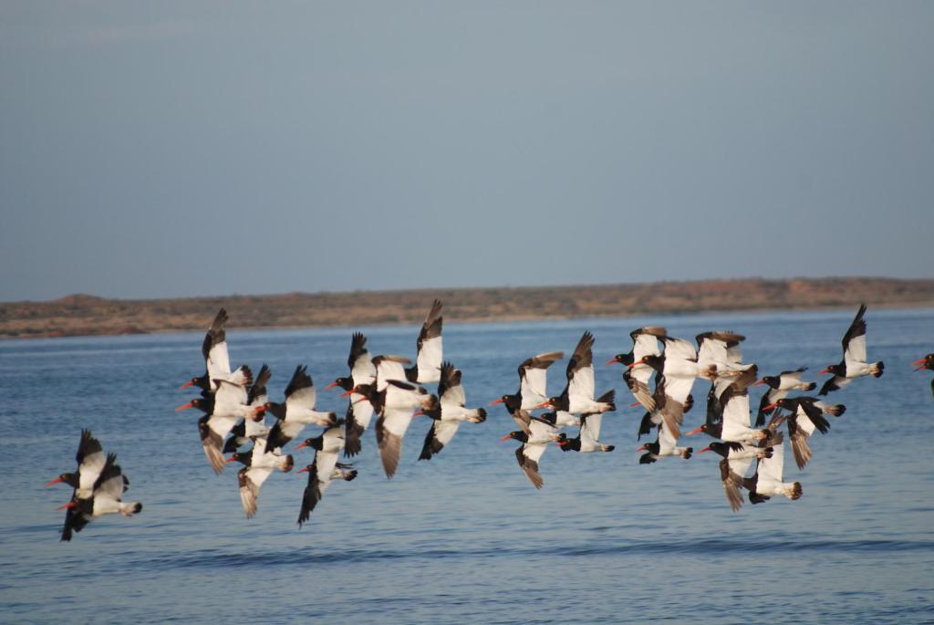 Bahia Bustamante Lodge מראה חיצוני תמונה