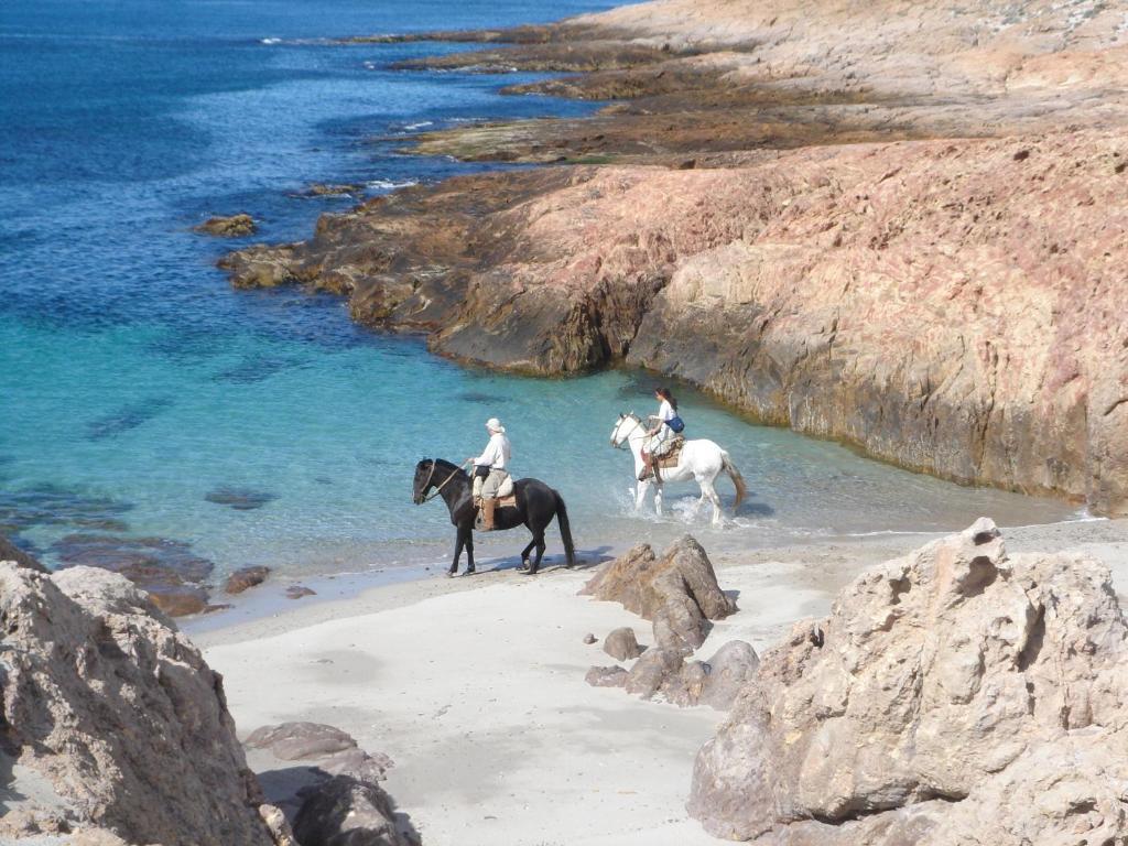 Bahia Bustamante Lodge מראה חיצוני תמונה